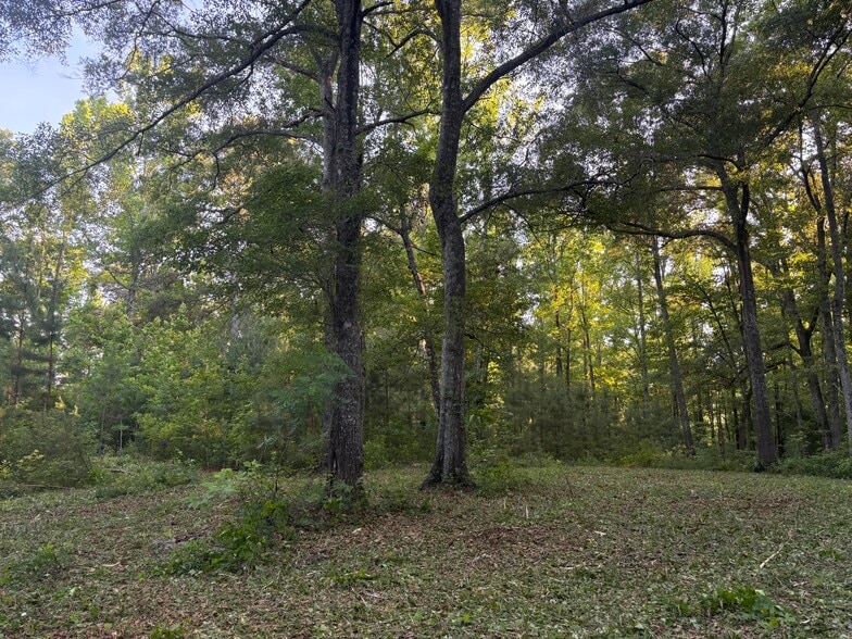 33600 AL Highway 22, Verbena, AL à vendre - Photo du bâtiment - Image 2 de 17