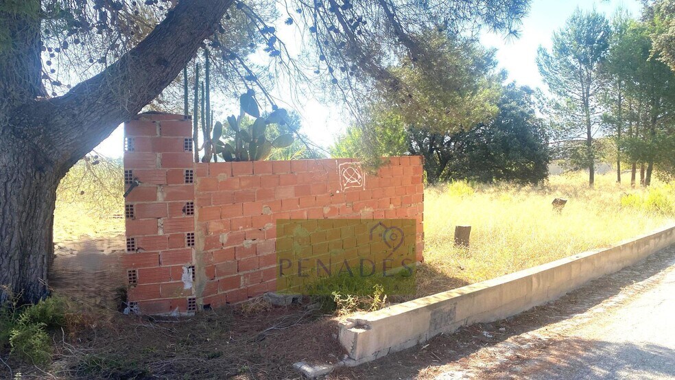 Land in Ontinyent, Valencia for sale - Primary Photo - Image 2 of 5