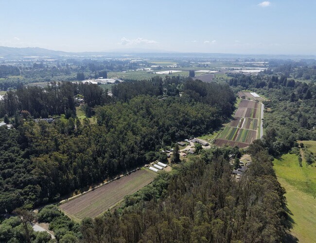 More details for 216 Merk Rd, Watsonville, CA - Land for Sale