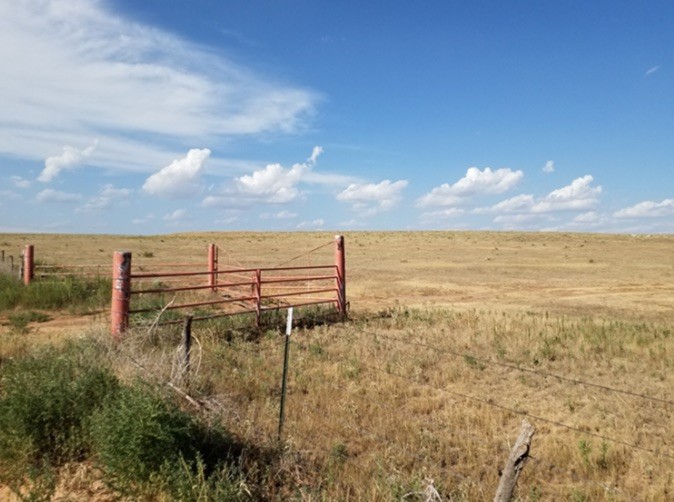 County Rd V, Lazbuddie, TX for sale - Primary Photo - Image 1 of 1