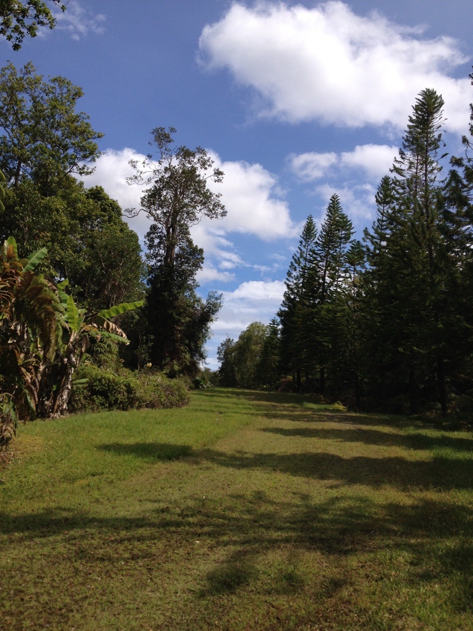 11 Jungle King Ave, Hilo, HI for sale Other- Image 1 of 1