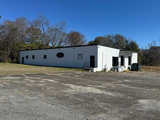 More details for 121 S Jackson St, Hawkinsville, GA - Industrial for Sale