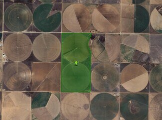 Plus de détails pour TBD County Rd 44, Earth, TX - Terrain à vendre