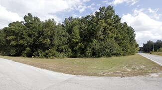 Plus de détails pour NW Devane St, Lake City, FL - Terrain à vendre