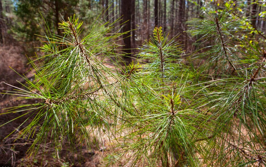 122 Brick Yard Rd, Statesville, NC à vendre - Autre - Image 3 de 10