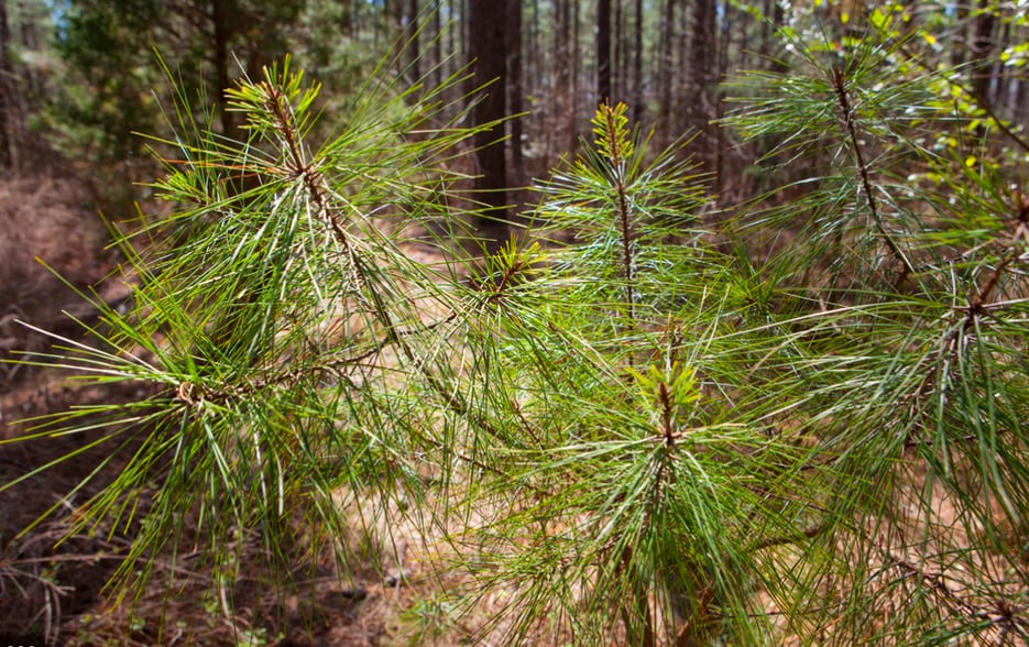 122 Brick Yard Rd, Statesville, NC for sale - Other - Image 3 of 10