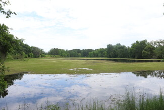 Plus de détails pour Bassett Dairy rd, Monticello, FL - Terrain à vendre