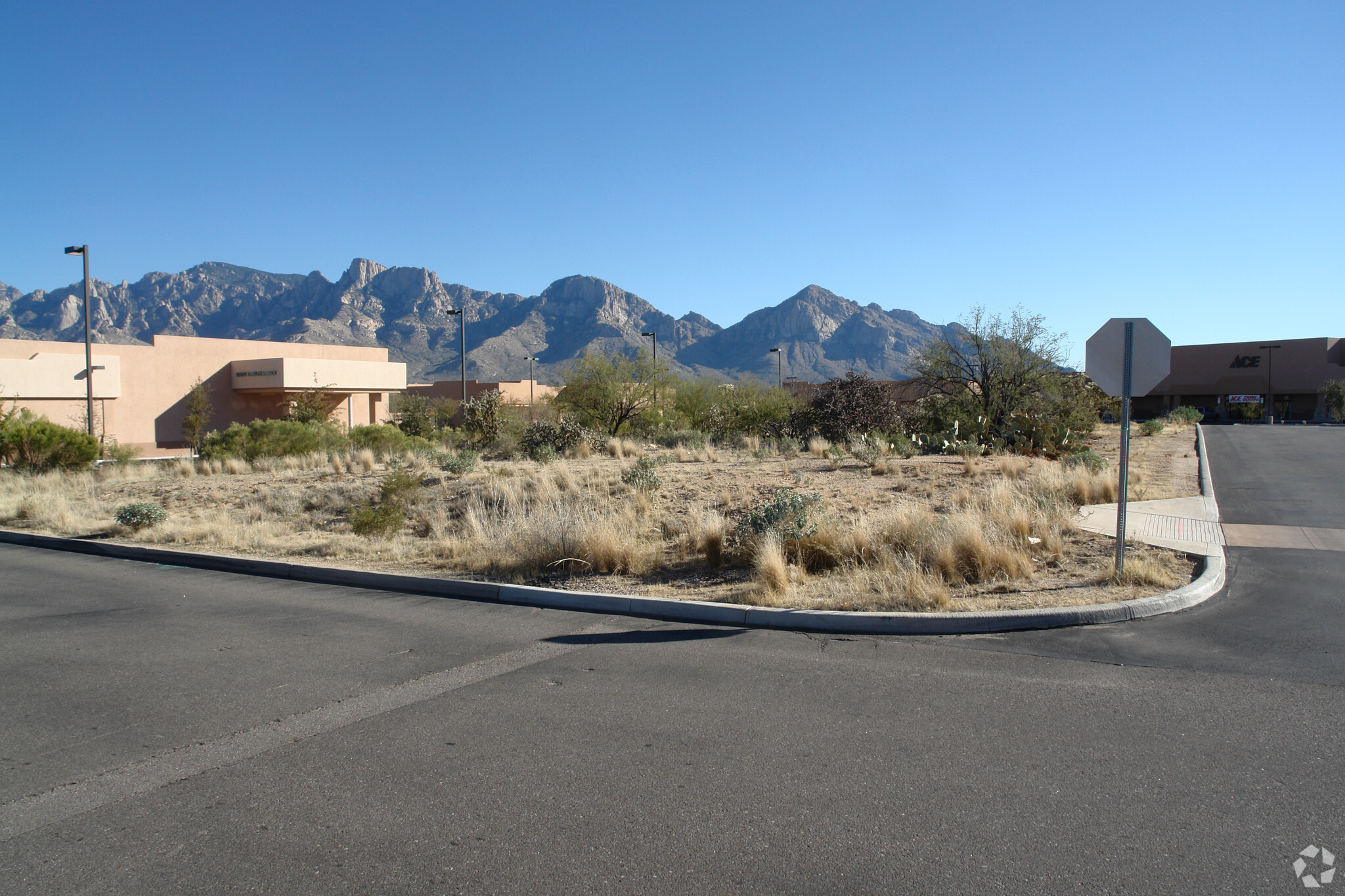 500 E Tangerine Rd, Tucson, AZ for lease Building Photo- Image 1 of 3