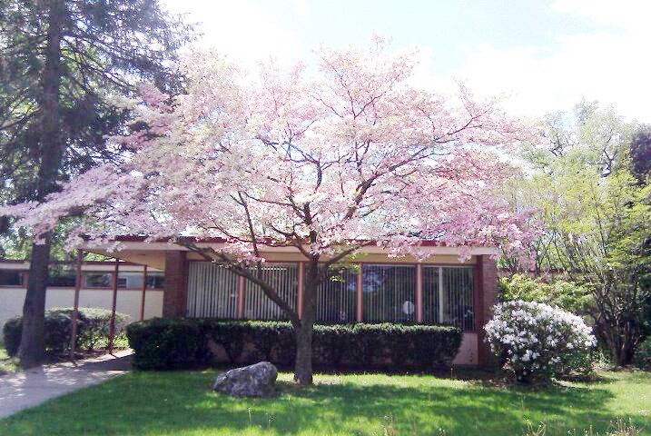 18 Sheppard Pl, Edison, NJ à louer - Photo du bâtiment - Image 2 de 6