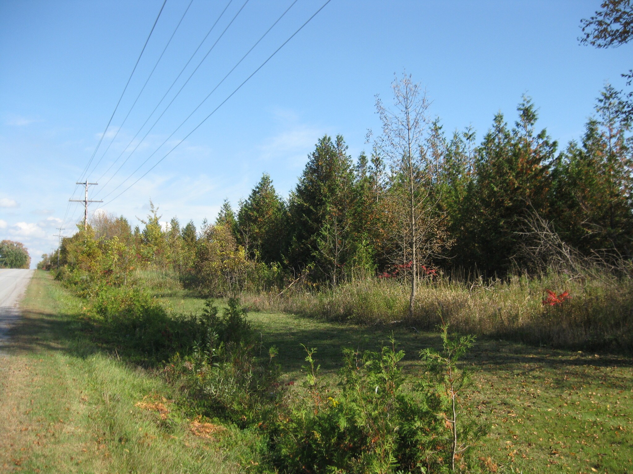 3175 Concession 7 Rd, Ramara, ON à vendre Autre- Image 1 de 1