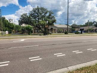 More details for 1291 Bloomingdale Ave, Valrico, FL - Specialty for Sale