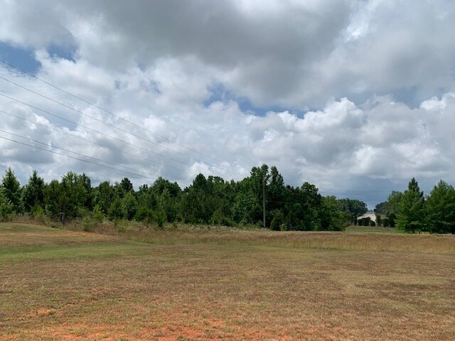 15414 Old Highway 5 S, Grove Hill, AL à vendre - Photo du bâtiment - Image 2 de 14