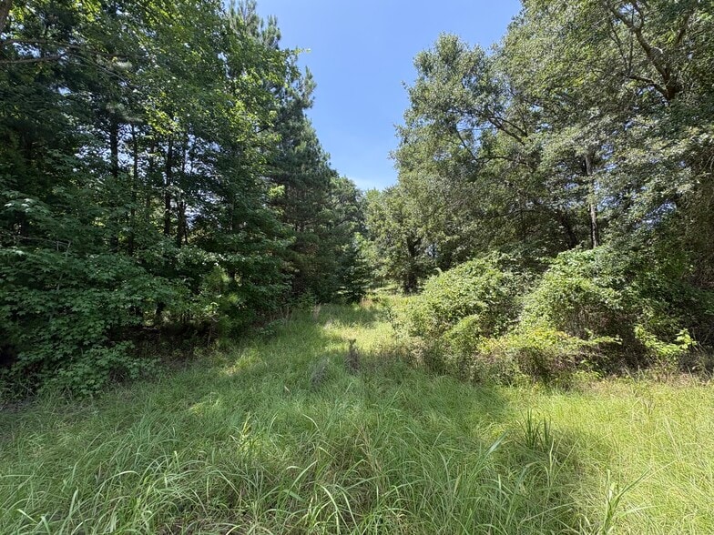 17688 Fisherman's dr, Troup, TX à vendre - Autre - Image 2 de 6