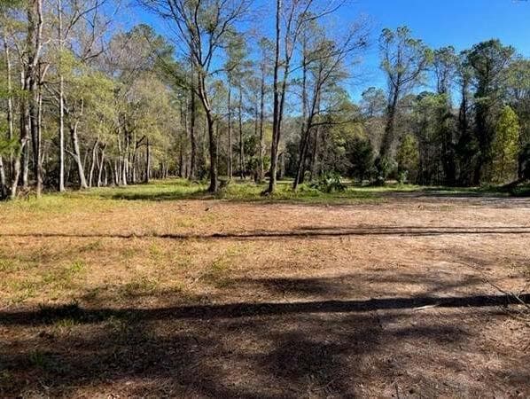 169 Hutchinson Rd, Jacksonville, FL for sale Primary Photo- Image 1 of 4