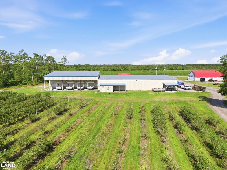 5478 Halfway Branch School rd, Ivanhoe, NC à vendre - Photo principale - Image 1 de 30