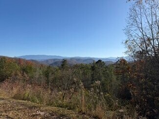 More details for Parcel 053 050. Obes Branch Road, Sevierville, TN - Land for Sale