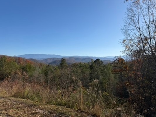 Parcel 053 050. Obes Branch Road, Sevierville, TN for sale Primary Photo- Image 1 of 86
