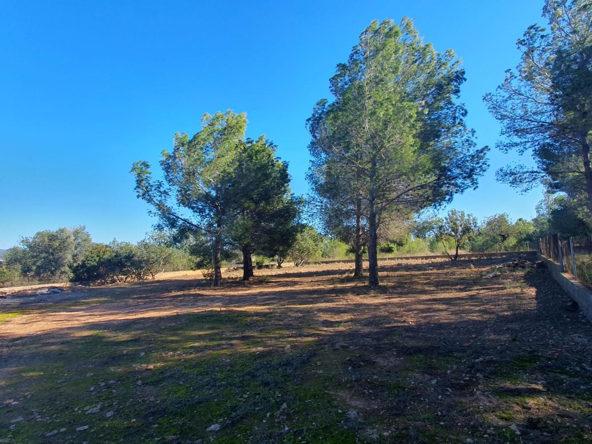 Land in La Pobla de Vallbona, Valencia for sale Primary Photo- Image 1 of 6