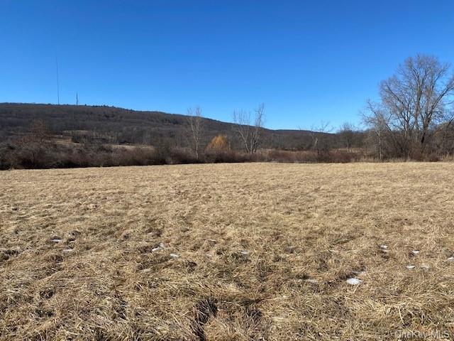 247 Vineyard Ave, Highland, NY à vendre - Photo du bâtiment - Image 2 de 22