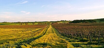 5185 Union Rd, Paso Robles, CA - Aérien  Vue de la carte