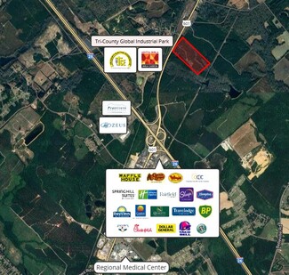 Plus de détails pour 4072 St Matthews Rd, Orangeburg, SC - Terrain à vendre