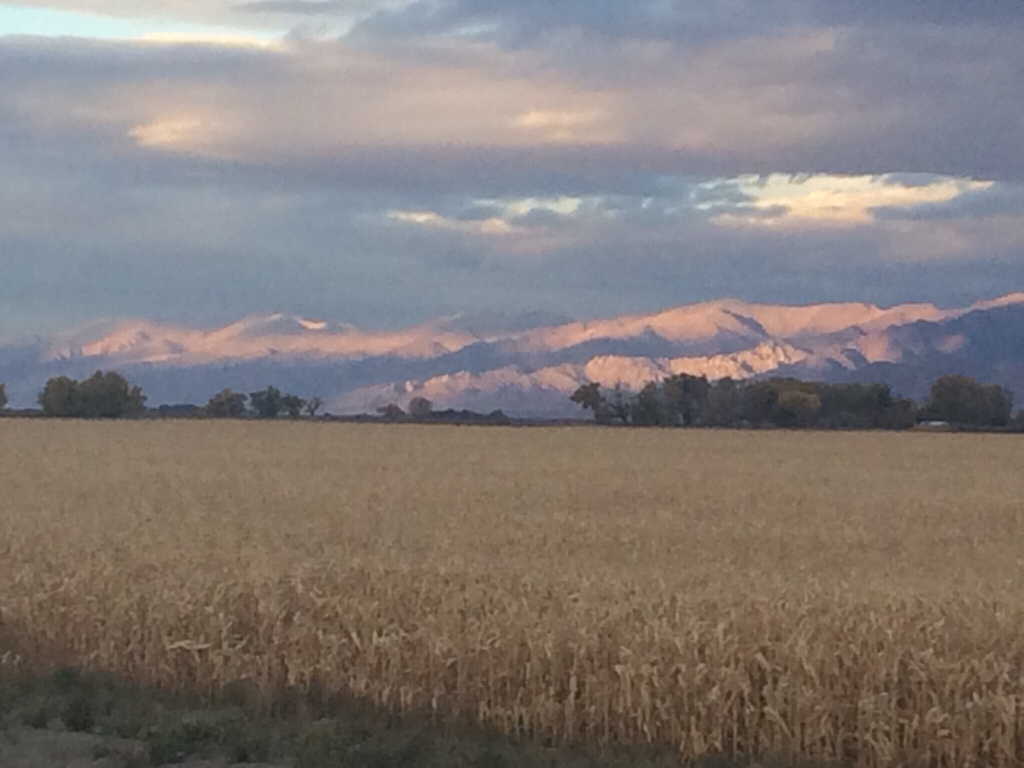 1625 W Reservation Rd, Lovelock, NV à vendre Aérien- Image 1 de 48