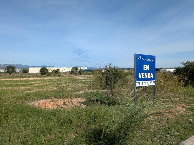 Land in Amposta, Tarragona for sale - Building Photo - Image 3 of 4