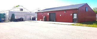 More details for 1117 Main St, Chesaning, MI - Flex for Sale