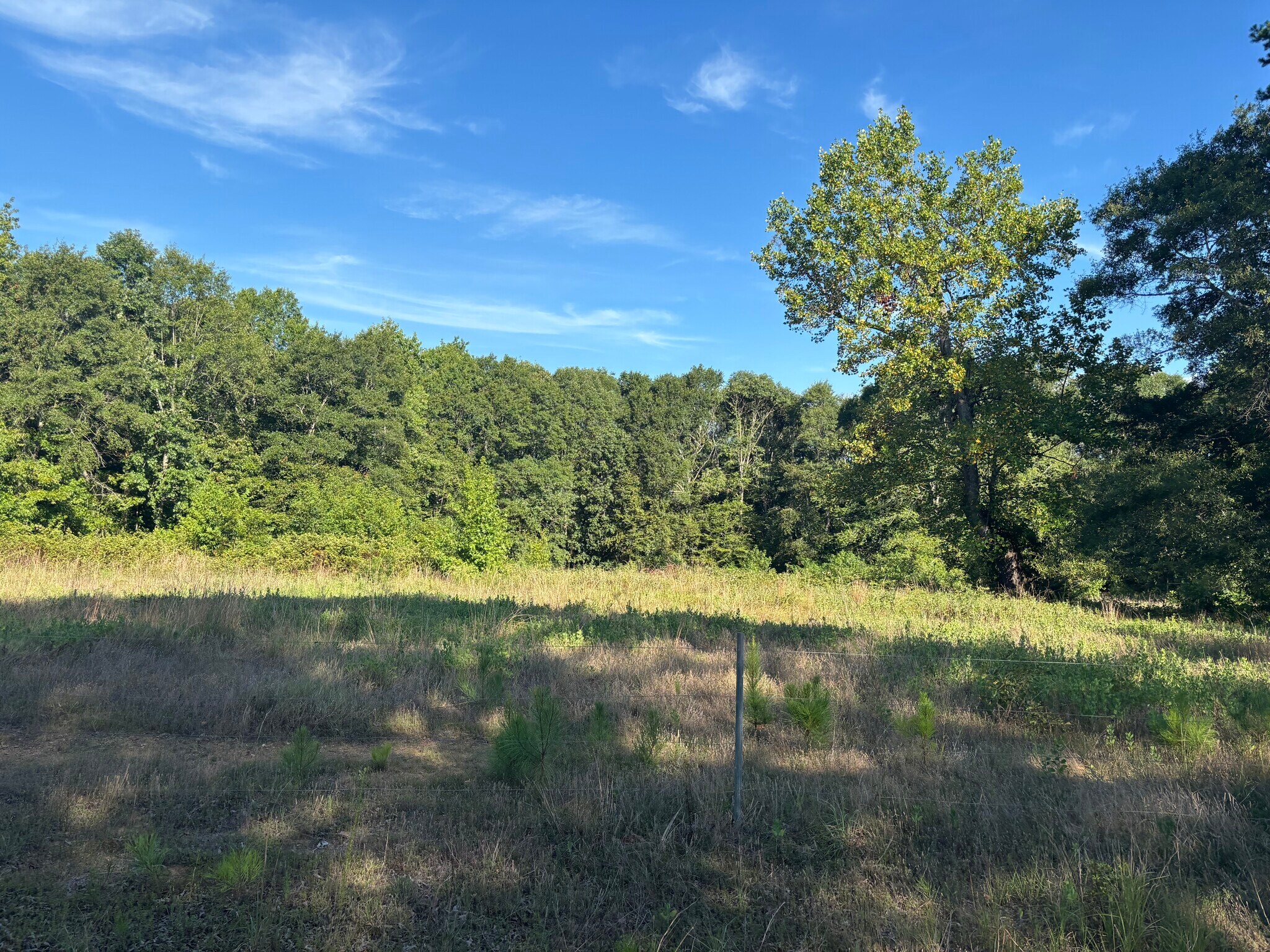 1609 Holiday Dam Rd, Belton, SC for sale Building Photo- Image 1 of 26