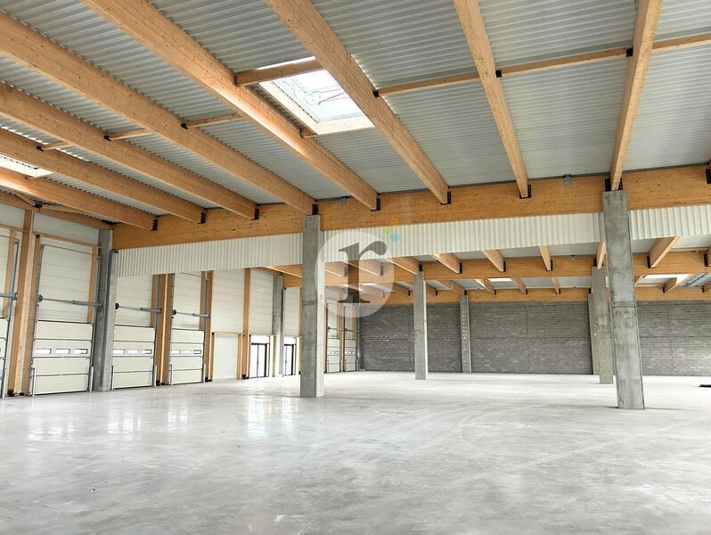 Flex in Lezennes for lease Interior Photo- Image 1 of 7