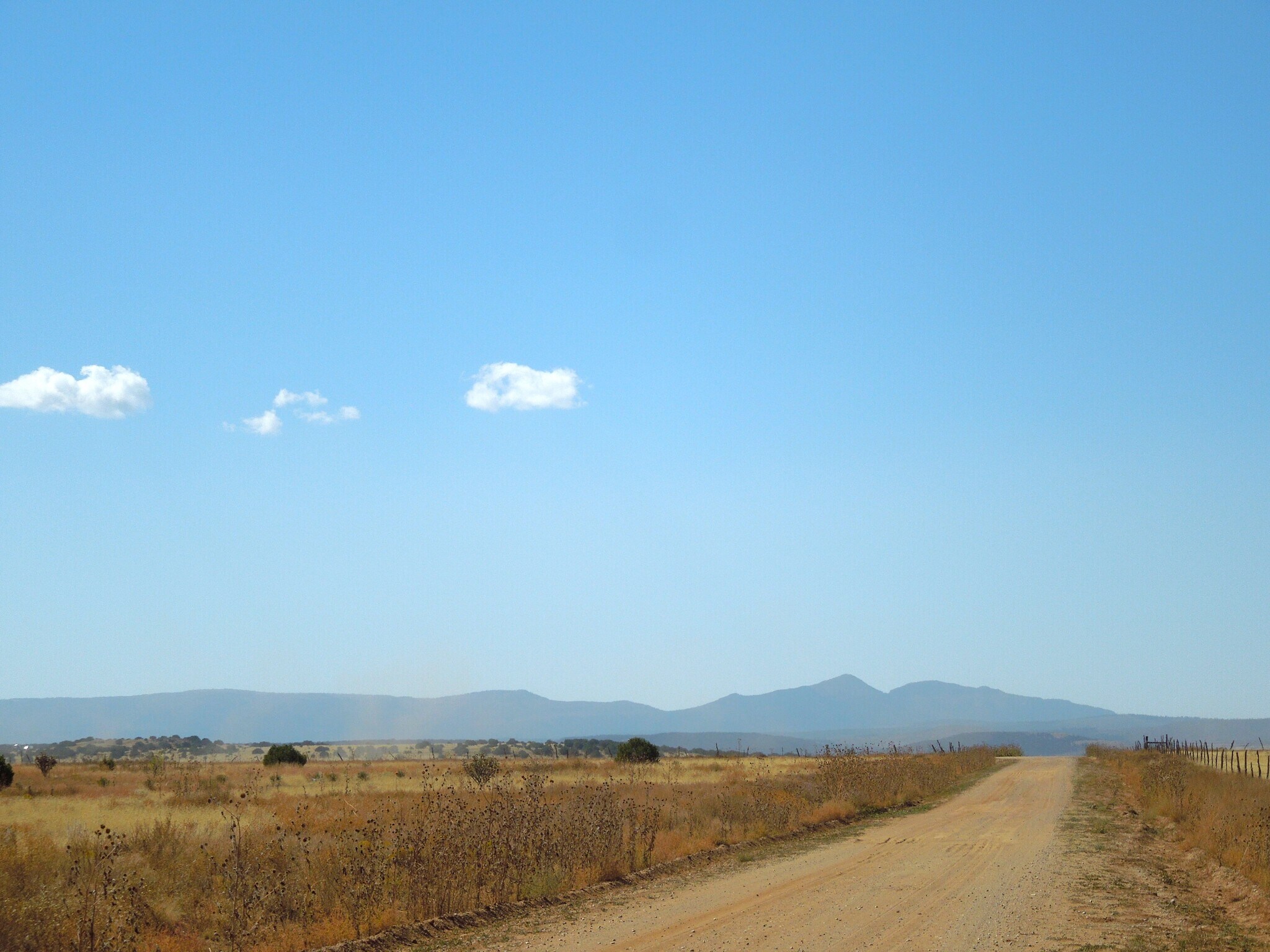Lot 117 S, Estancia, NM à vendre Photo principale- Image 1 de 12