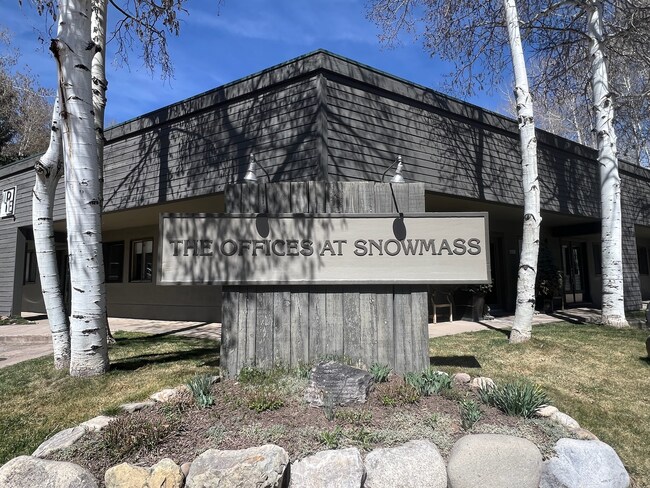More details for 25 Lower Woodbridge Rd, Snowmass Village, CO - Office for Lease