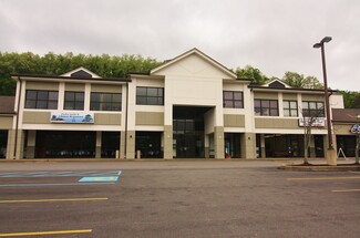 More details for 2101 Greentree Rd, Pittsburgh, PA - Office, Retail for Lease