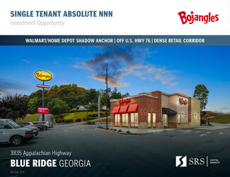 Plus de détails pour 3835 Appalachian Hwy, Blue Ridge, GA - Vente au détail à vendre