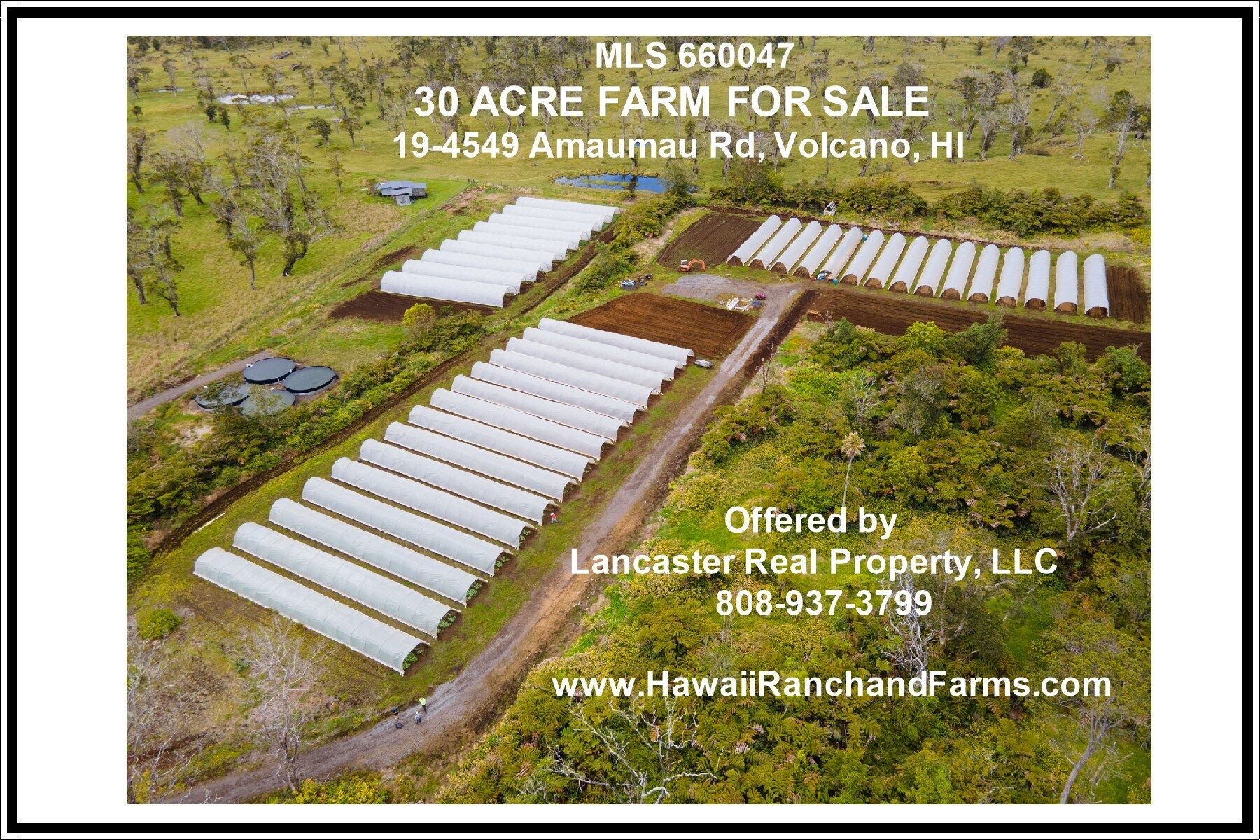 19-4549 Amaumau Rd, Volcano, HI for sale Primary Photo- Image 1 of 22