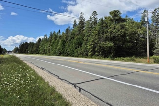Plus de détails pour 6838 US-2 Hwy, Manistique, MI - Terrain à vendre