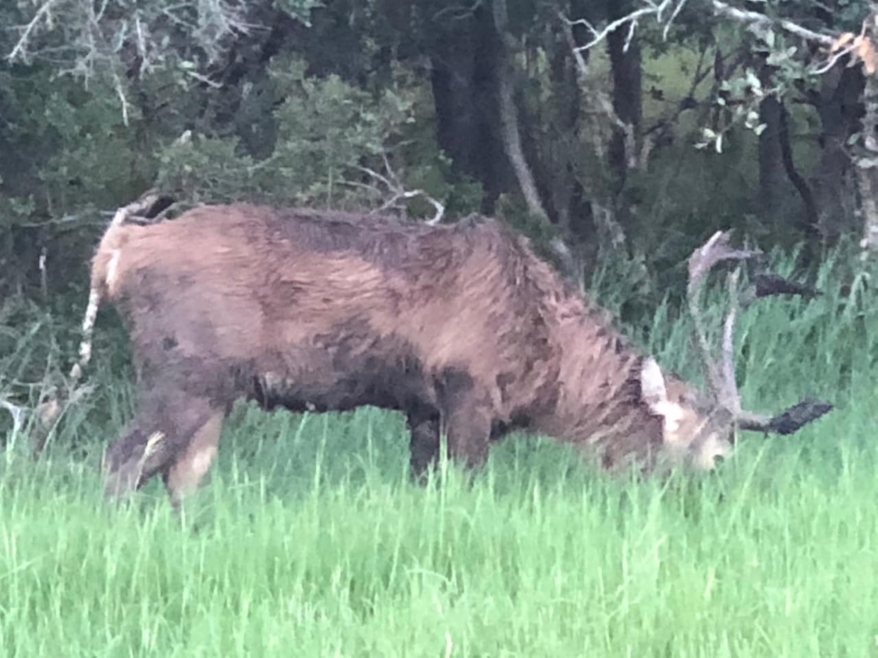 5734 County Road 305, Beeville, TX for lease Primary Photo- Image 1 of 30