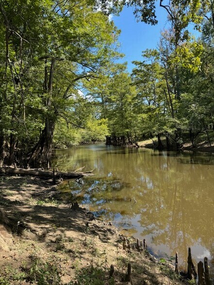 Dynamic Webster Parish, Sarepta, LA for sale - Building Photo - Image 3 of 5