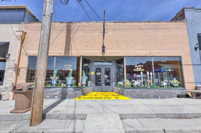 Plus de détails pour 108 W Walnut St, Smithville, TN - Commerce de détail à vendre