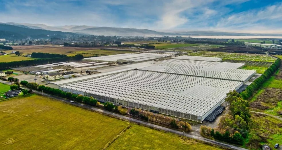 3160 Upper Bay Rd, Arcata, CA for lease - Primary Photo - Image 1 of 5