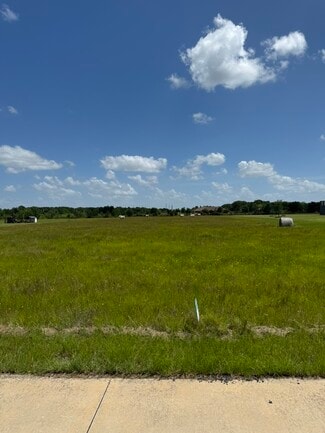 More details for 26119 KATY PRAIRIE Dr, Katy, TX - Land for Sale