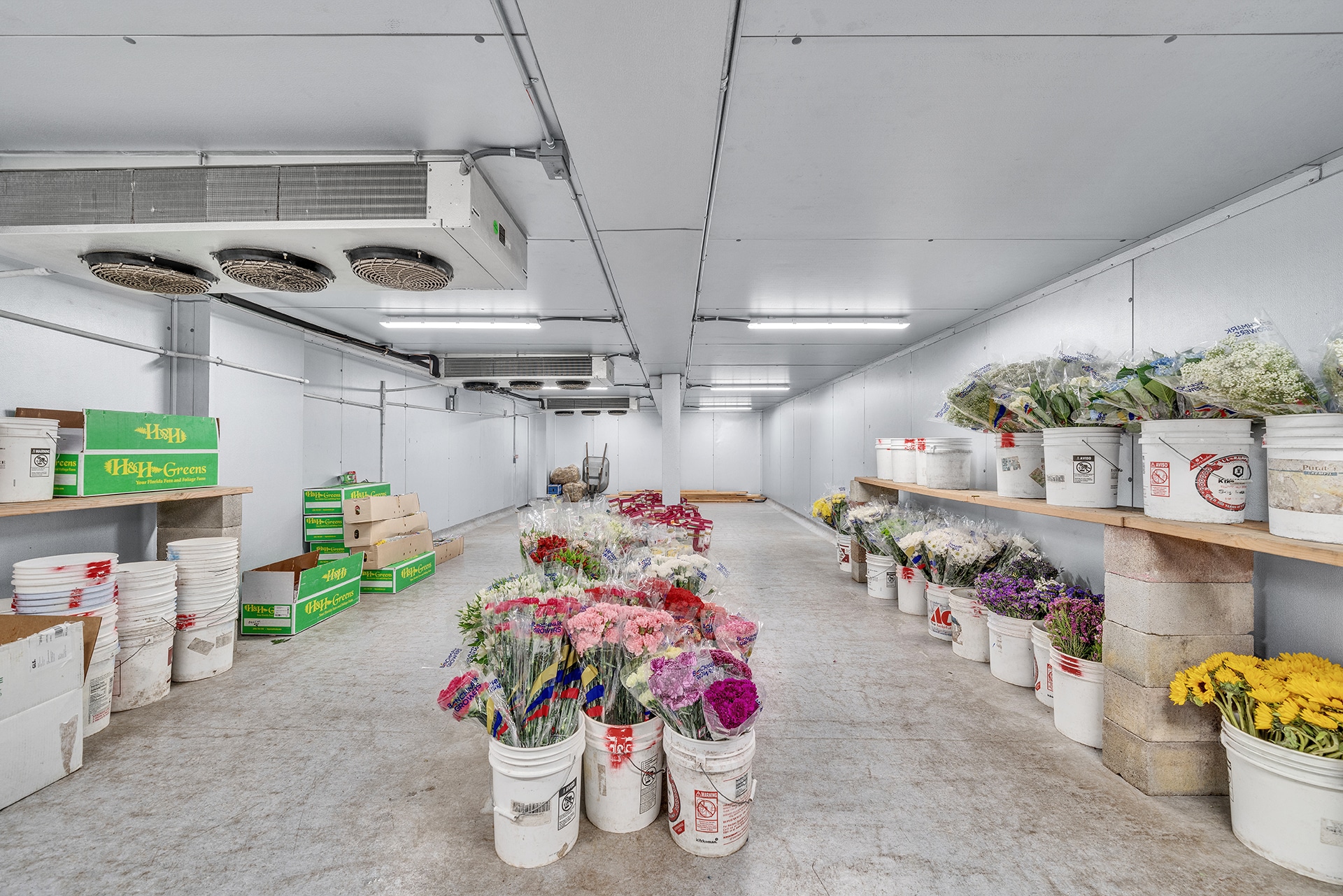 2820 Broadmoor Ave, Concord, CA for sale Interior Photo- Image 1 of 57