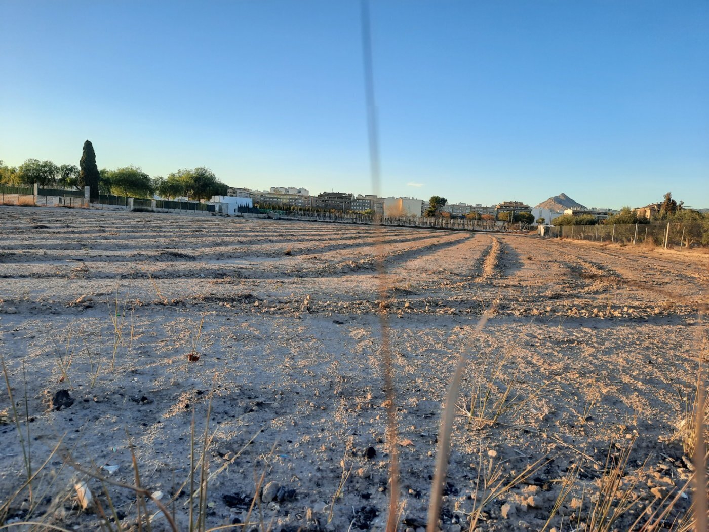 Terrain dans Novelda, Alicante à vendre Plan de site- Image 1 de 6