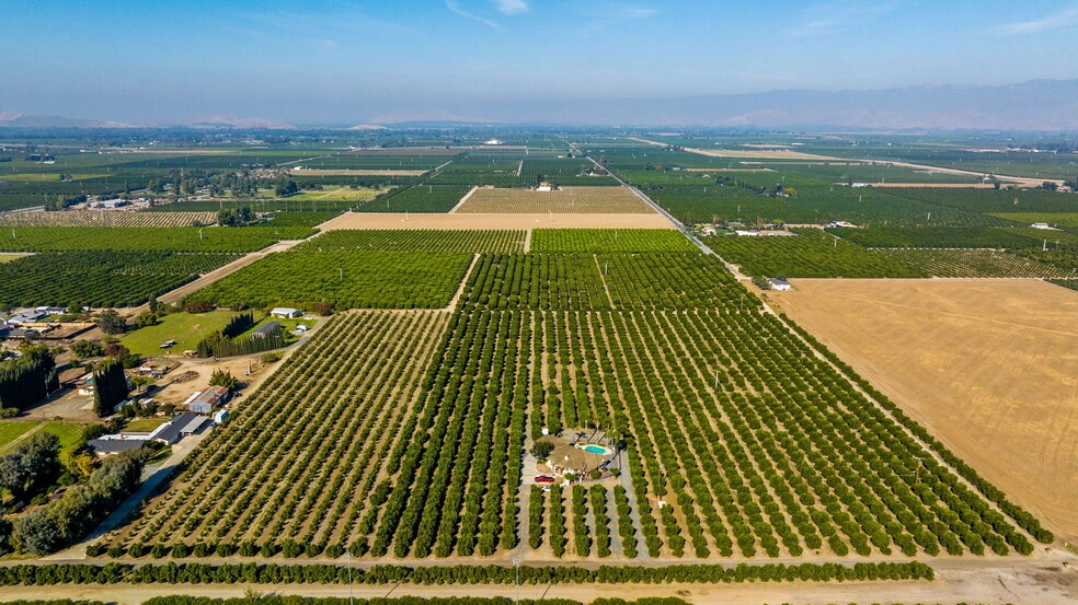 1435 Palm dr, Exeter, CA for sale - Aerial - Image 3 of 19