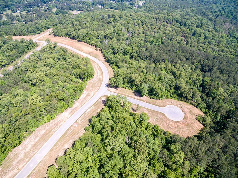 Waterside Residential Estate Lots dr, Pell City, AL à vendre - Aérien - Image 2 de 5