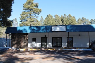 Plus de détails pour 674 E White Mountain Blvd, Pinetop, AZ - Bureau/Commerce de détail à louer