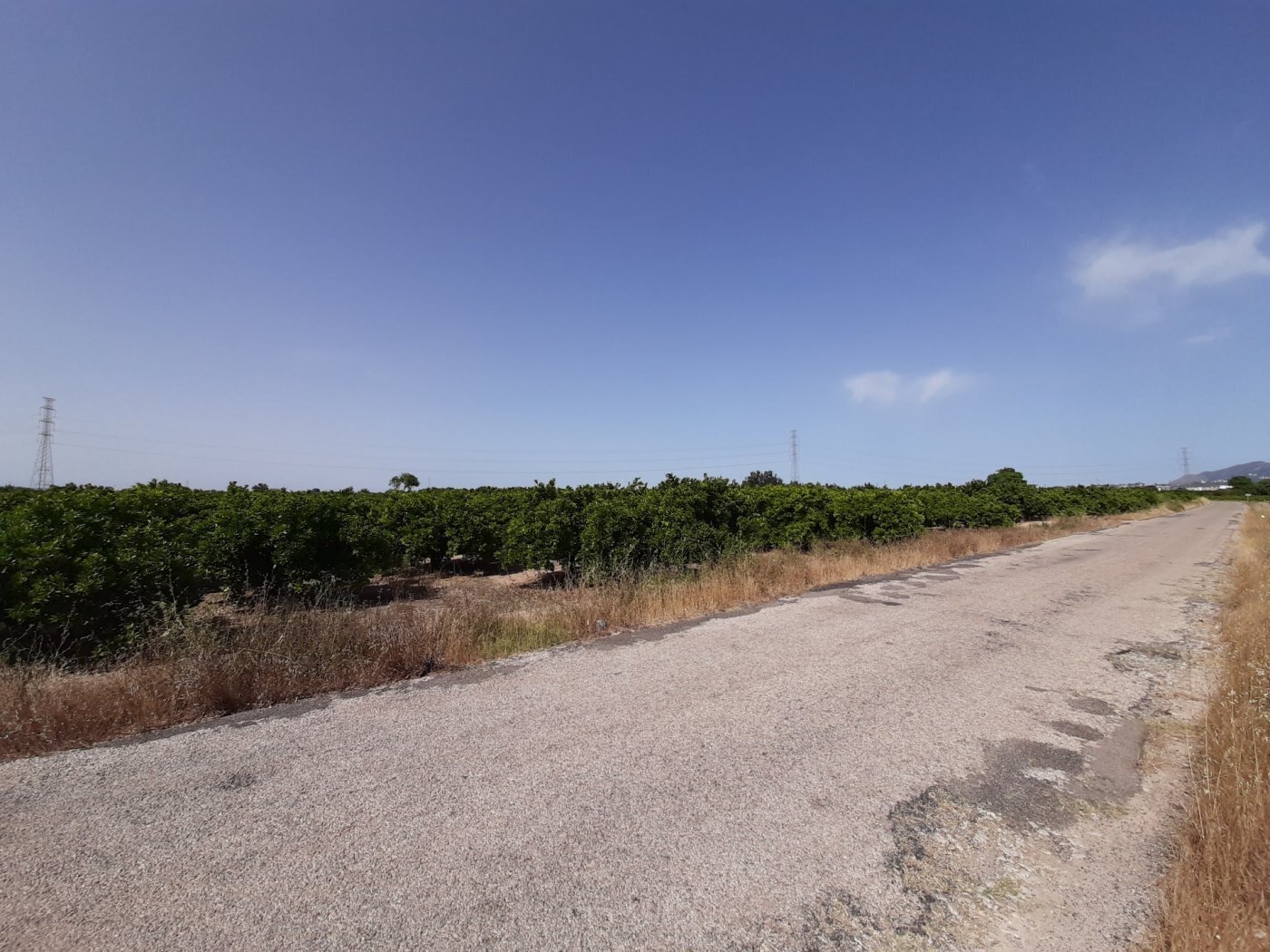 Land in Alzira, Valencia for sale Primary Photo- Image 1 of 15