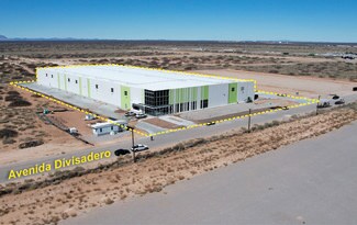 Plus de détails pour 4801 Avenida Divisadero, Santa Teresa, NM - Industriel à vendre