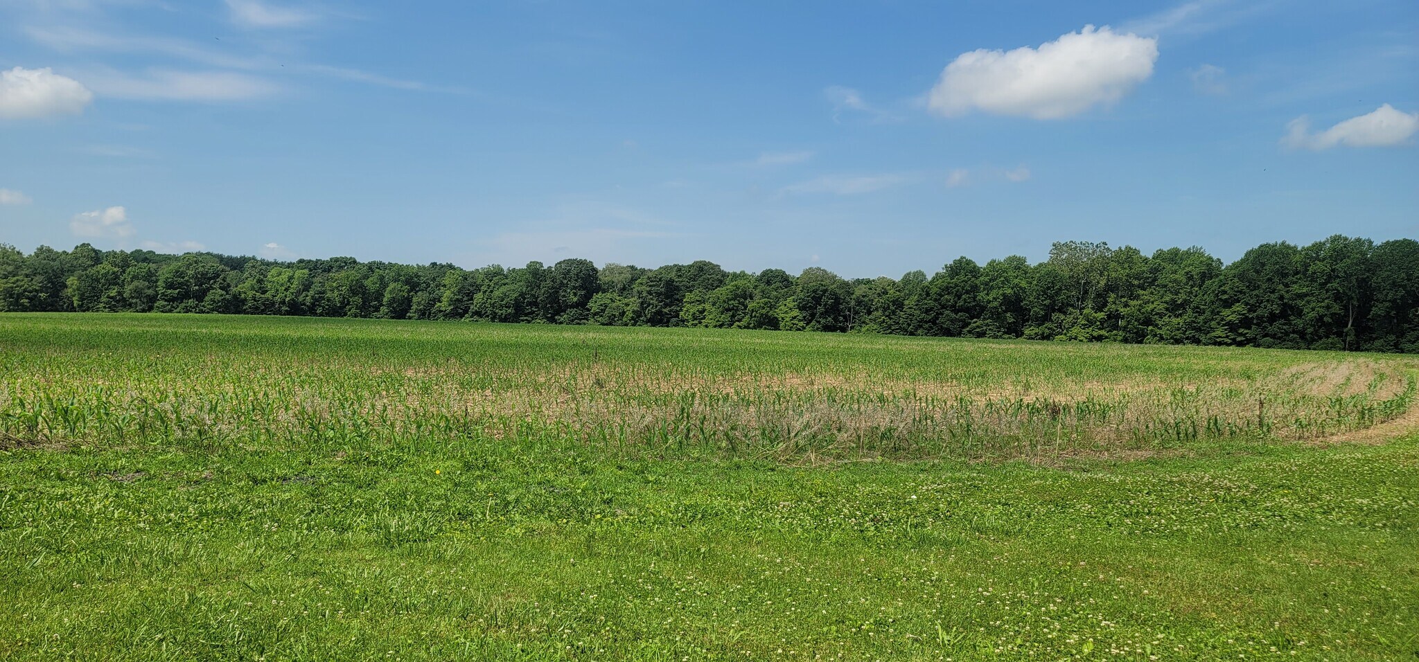 3204 N Bowling Green Poland Rd, Poland, IN à vendre Autre- Image 1 de 4