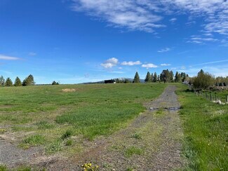 More details for 300 Krahn lane, McCall, ID - Land for Sale